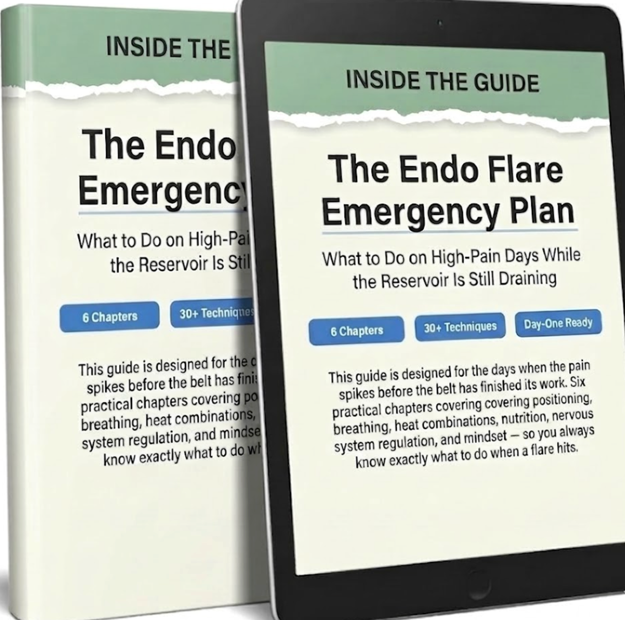 The Endo Flare Emergency Plan